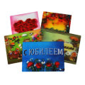 3D Effect Lenticular Plastic Postcard Printing